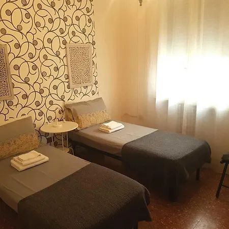 L.t. Schneider Bolonia