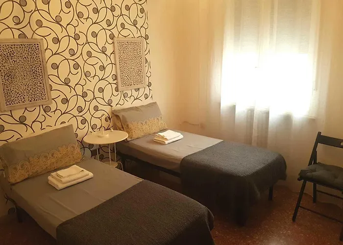 L.t. Schneider Boloňa