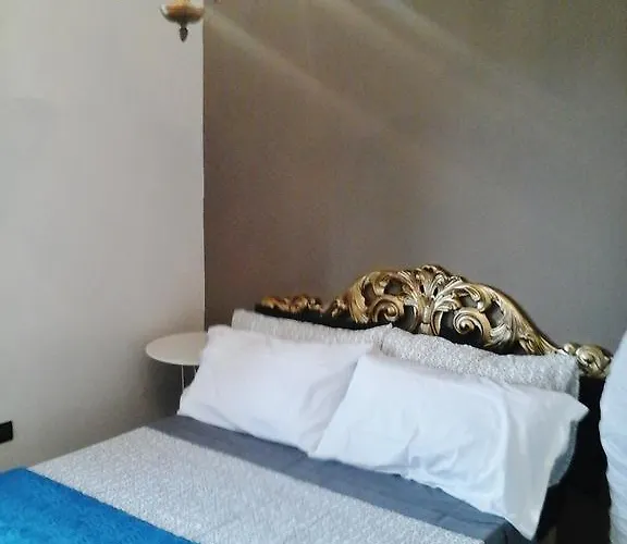 L.t. Schneider Boloňa