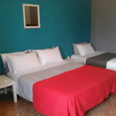 L.t. Schneider 볼로냐